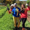 Farm School Memories: Let’s Hear it FROM the Kids! harvesting carrots