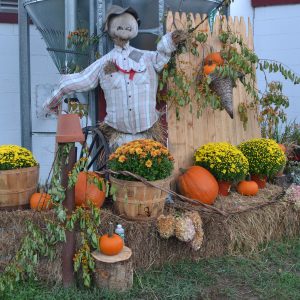 scarecrow at east hill farm