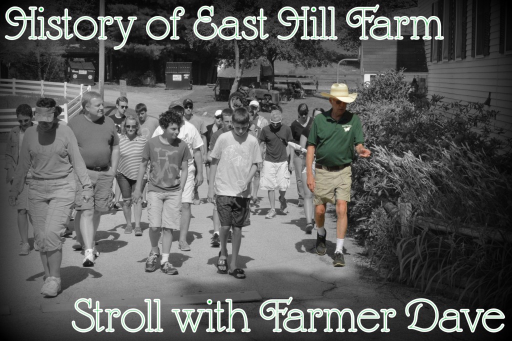 Stroll with Farmer Dave 1 - Spot Color with Text