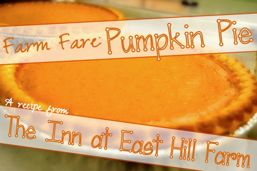Pumpkin Pie - Glamourized 1 with Labels & Text