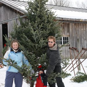 East Hill Farm Christmas Tree Package