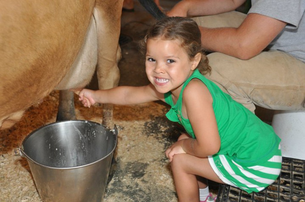 Milk a Cow at East Hill Farm