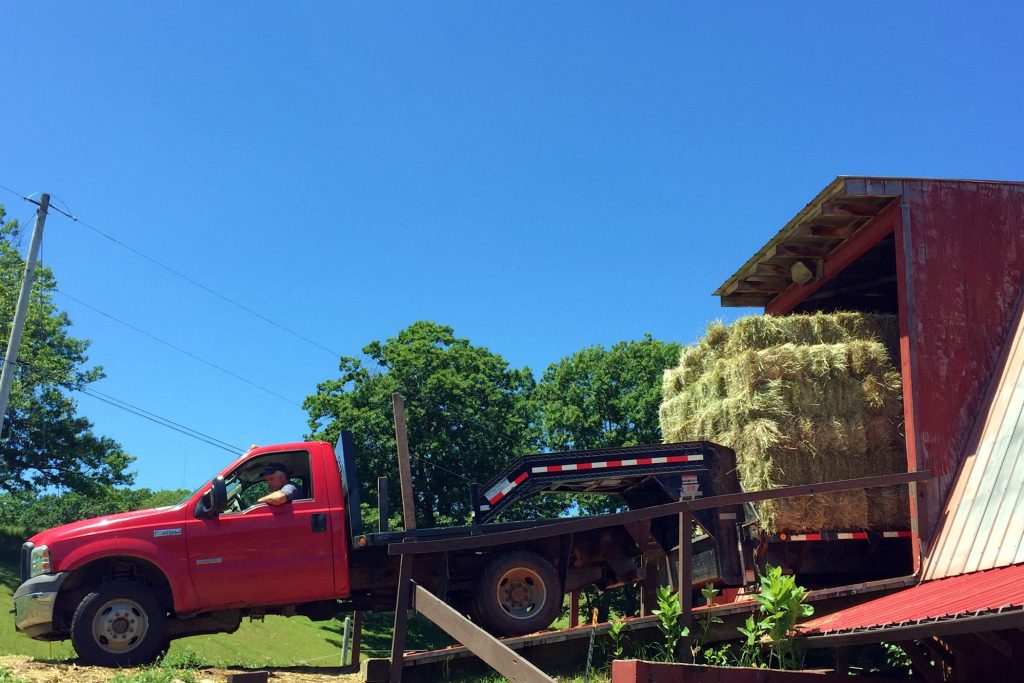 Hay delivery at East Hill Farm