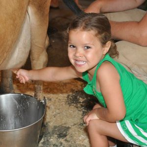 East Hill Farm Milking