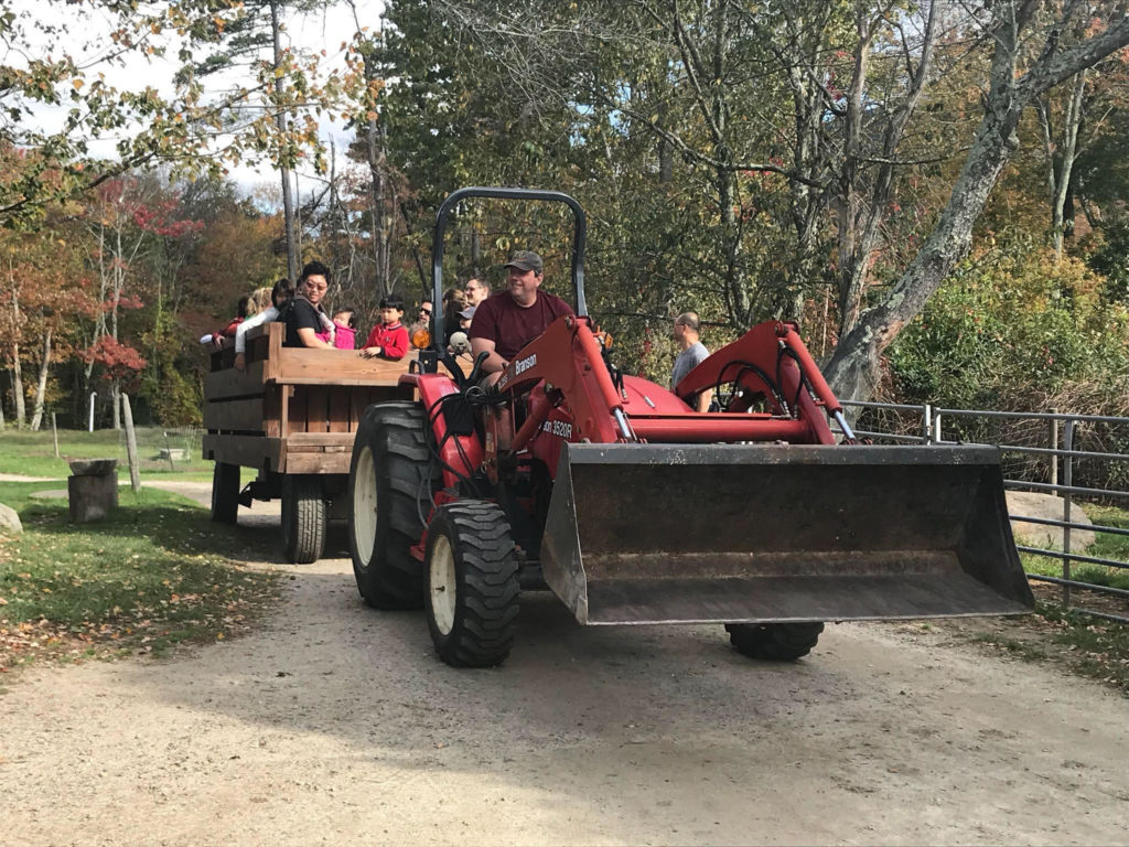 tractor drawn wagon rides at east hill farm 