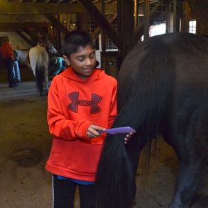 Child grooming a pony in the barn at East Hill Farm with the barn manager in the background