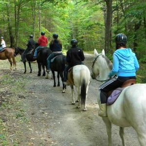 East Hill Farm Trail Rides