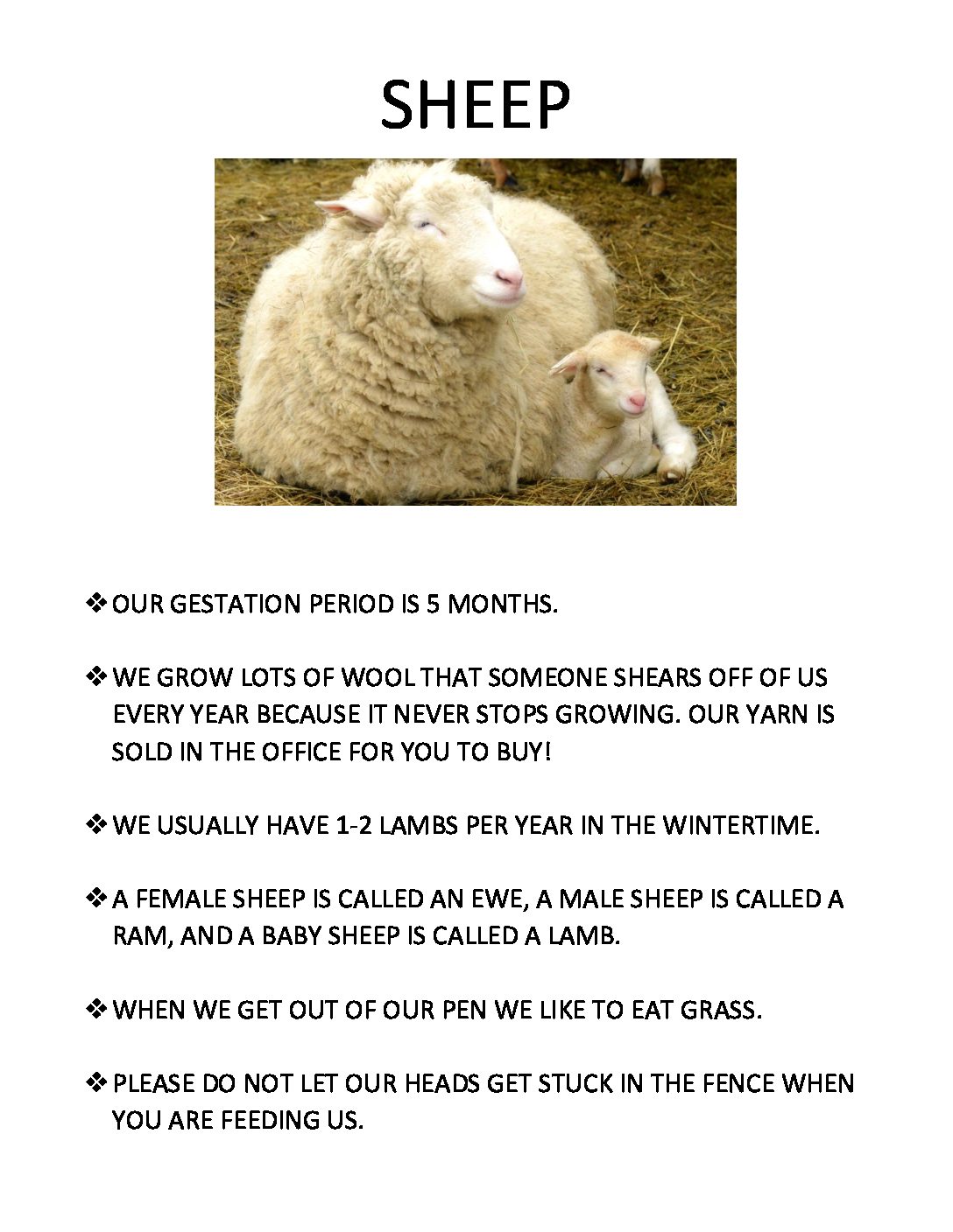 sheep-fun-fact – The Inn at East Hill Farm