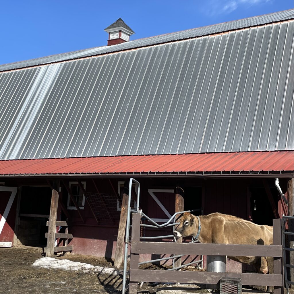 barn cupola at east hill farm